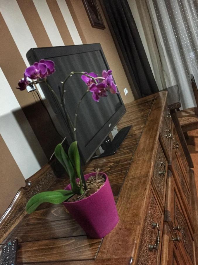 Hotel Oaza คอนยิค ภายนอก รูปภาพ